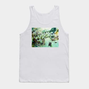 Purple Tipped Giant Sea Anemone and Cleaner Shrimp Tank Top